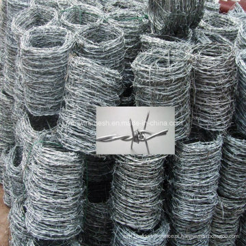 Barbed Wire / Razor Barbed Wire (fabricante especializado)